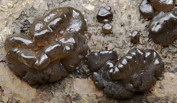 Aggiungo anche queste